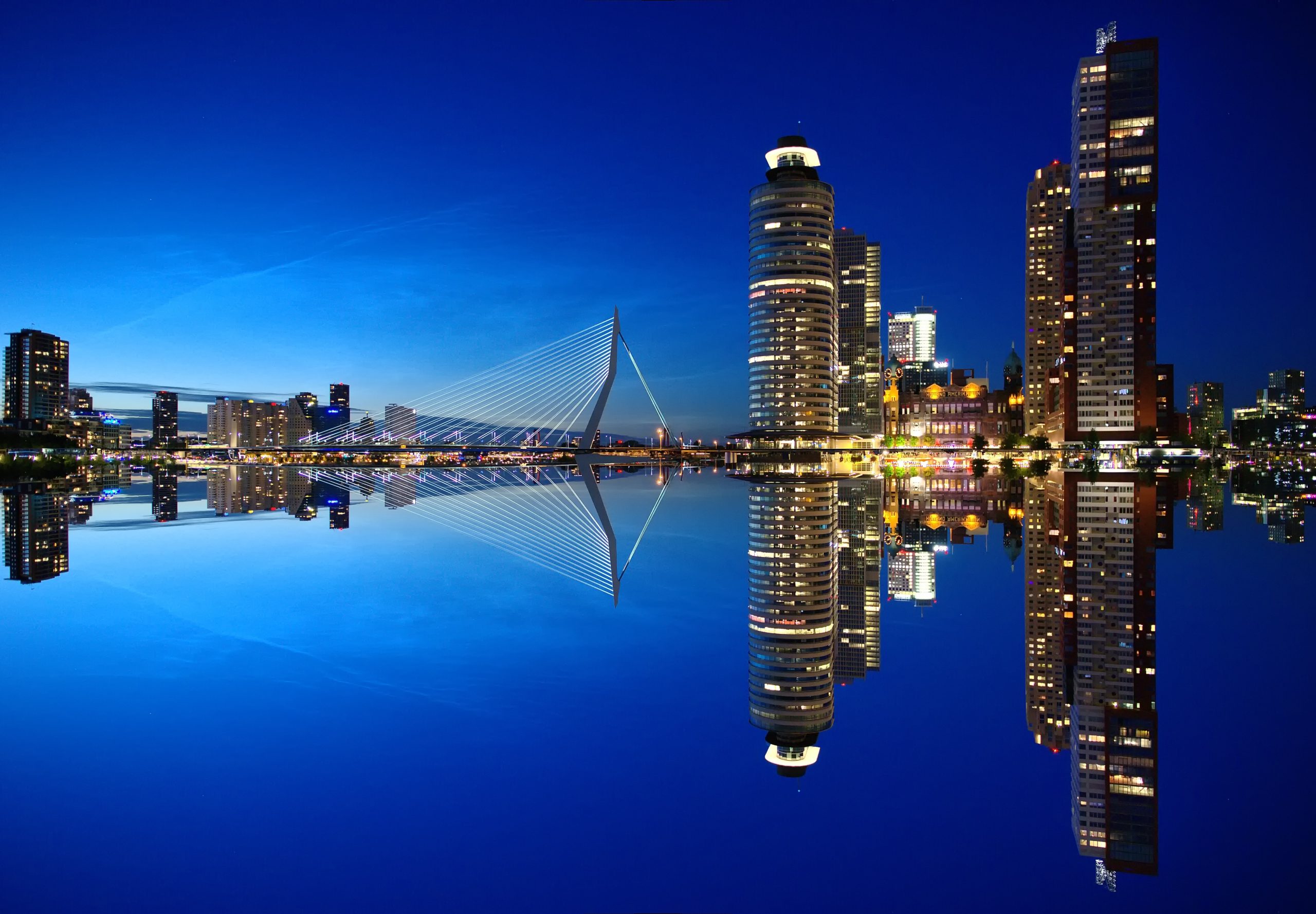 This image shows the Rotterdam skyline in the Netherlands at dusk.
