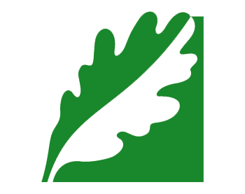 Logo for the Max Kade Institute. 